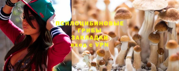СК Надым