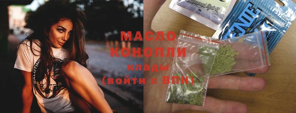 индика Михайловка