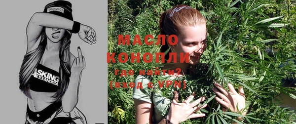 индика Михайловка