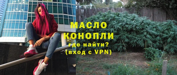 индика Михайловка