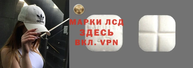 твердый Михайлов