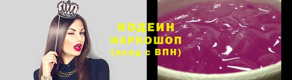 твердый Михайлов