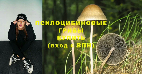 СК Надым