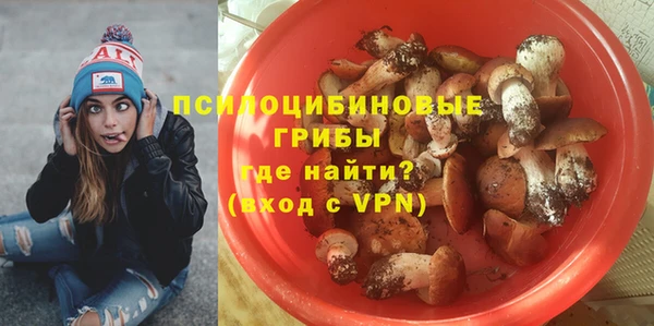 СК Надым