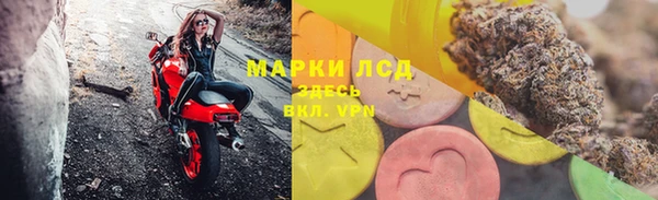 твердый Михайлов