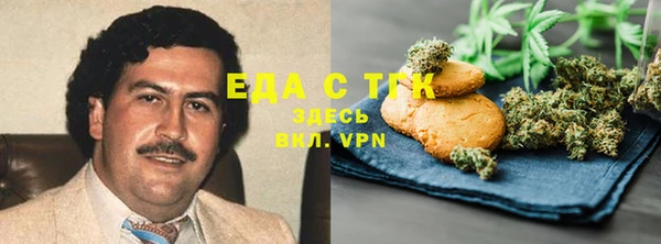 индика Михайловка