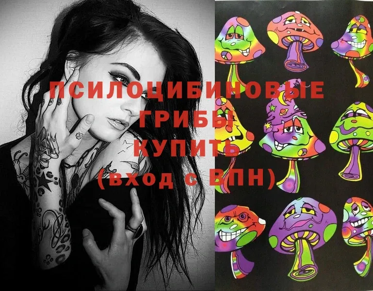 Галлюциногенные грибы Psilocybe  Кущёвская 